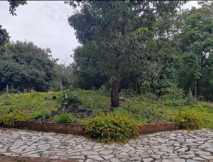 Sitio Sao Benedito Pirenópolis Exterior foto